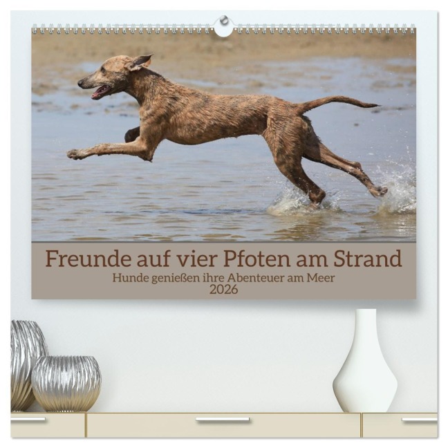 Freunde auf vier Pfoten am Strand (hochwertiger Premium Wandkalender 2026 DIN A2 quer), Kunstdruck in Hochglanz - Gerhard Bittner