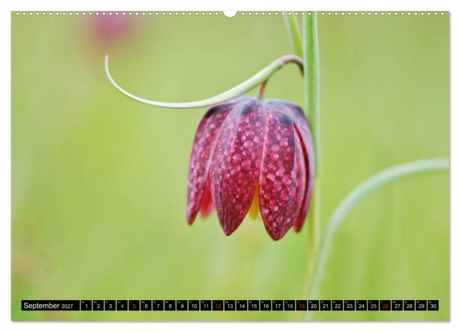 InsideView 13
