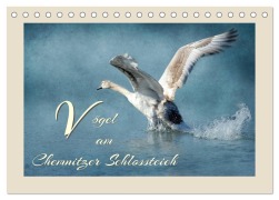 Vögel am Chemnitzer Schlossteich (Tischkalender 2026 DIN A5 quer), CALVENDO Monatskalender - Heike Hultsch