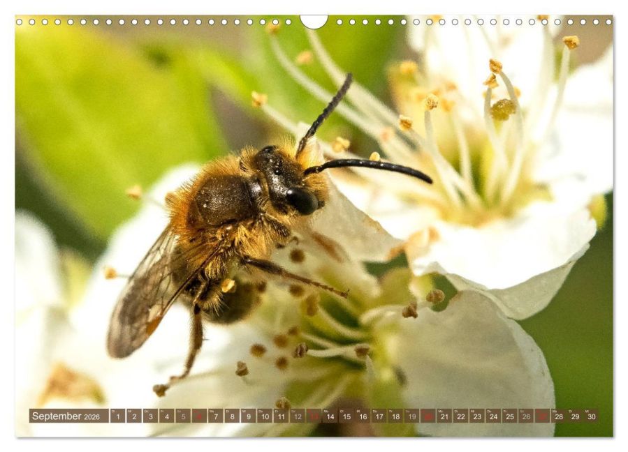 InsideView 14