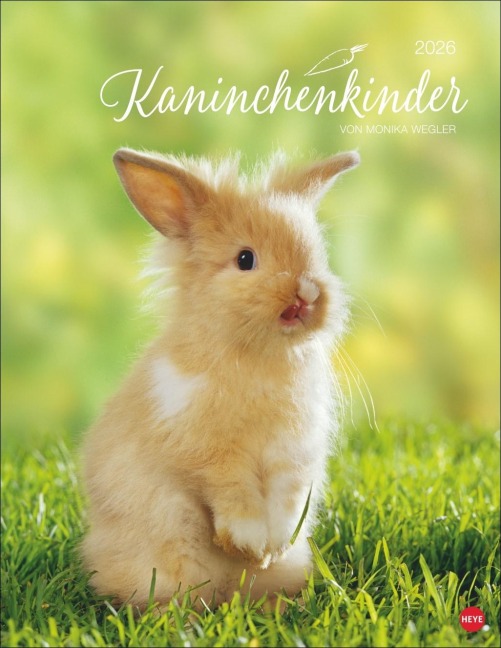Kaninchenkinder Posterkalender 2026 - 