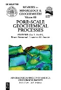 Cover-Bild zum Titel 'Pore Scale Geochemical Processes' von ''