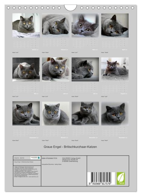 InsideView 5