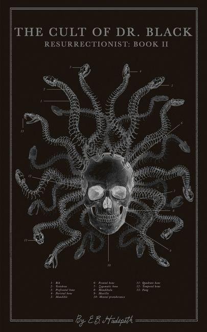 The Cult of Dr. Black - E B Hudspeth