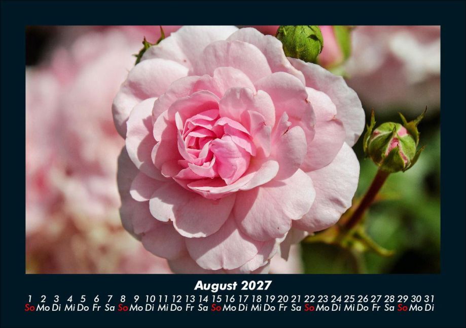 InsideView 12