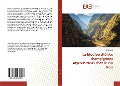 Cover-Bild zum Titel 'La biodiversité des champignons mycorhiziens chez le Pin Noir' von 'Adel Smail'