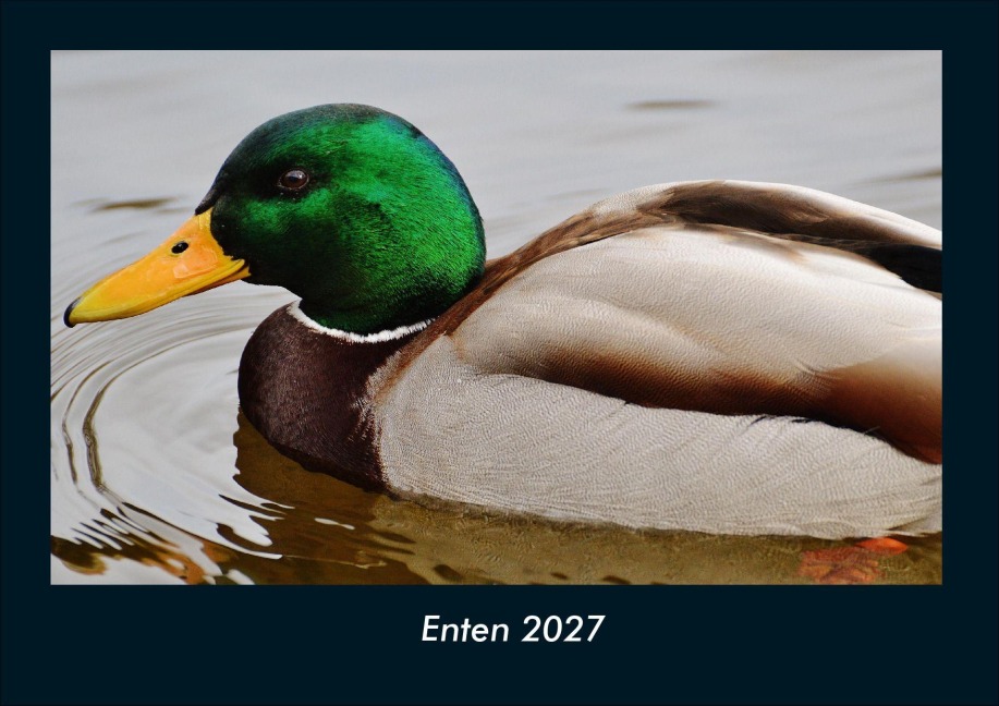 Enten 2027 Fotokalender DIN A4 - Tobias Schmitt, Kevin Heber