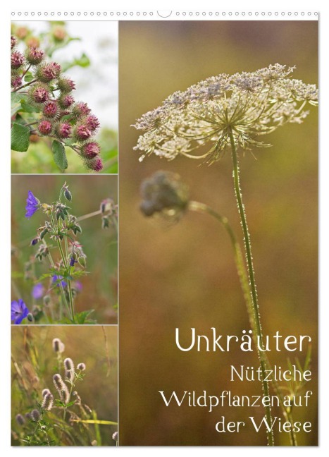 Unkräuter - Nützliche Wildpflanzen auf der Wiese (Wandkalender 2026 DIN A2 hoch), CALVENDO Monatskalender - Drachenkind-Fotografie Drachenkind-Fotografie