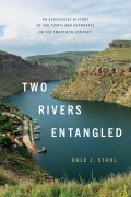 Cover-Bild zum Titel 'Two Rivers Entangled' von 'Dale J Stahl'