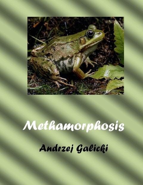 Metamorphosis - Andrzej Galicki