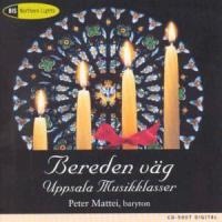Bereden väg - Peter Mattei