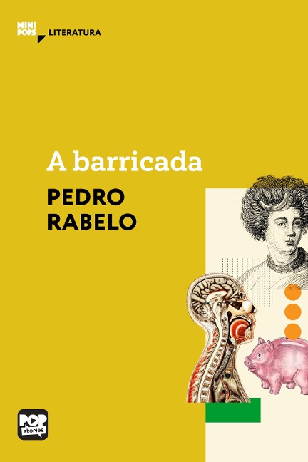 A barricada - Pedro Rabelo