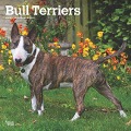 Bull Terriers 2025 12 X 24 Inch Monthly Square Wall Calendar Plastic-Free - Browntrout