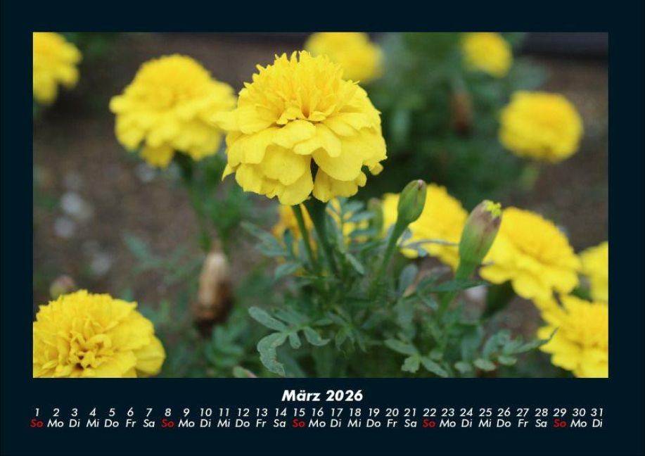 InsideView 7