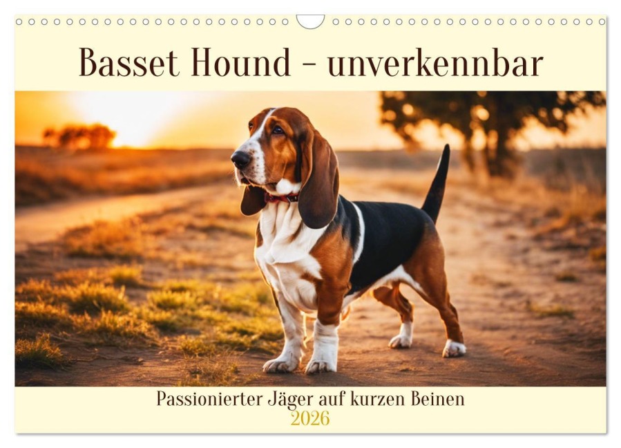 Basset Hound - unverkennbar (Wandkalender 2026 DIN A3 quer), CALVENDO Monatskalender - Claudia Kleemann