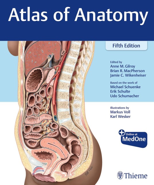 Atlas of Anatomy - Anne M Gilroy, Brian R MacPherson, Erik Schulte, Michael Schuenke, Jamie Wikenheiser