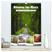 Cover-Bild zum Titel 'Bäume im Harz (hochwertiger Premium Wandkalender 2026 DIN A2 hoch), Kunstdruck in Hochglanz' von 'Steffen Gierok-Latniak'