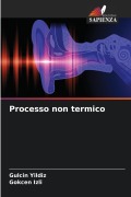 Cover-Bild zum Titel 'Processo non termico' von 'Gulcin Yildiz, Gokcen Izli'