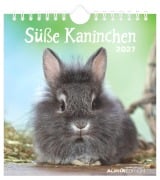 Cover-Bild zum Titel 'Süße Kaninchen 2027' von ''