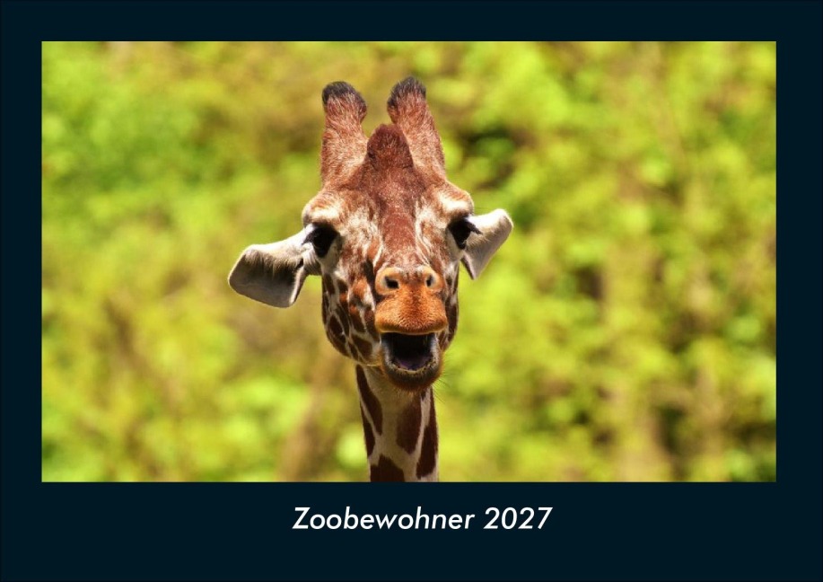 Zoobewohner 2027 Fotokalender DIN A4 - Kevin Heber, Tobias Schmitt