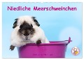 Niedliche Meerschweinchen (Wandkalender 2024 DIN A2 quer), CALVENDO Monatskalender - Jeanette Hutfluss