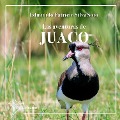 Cover-Bild zum Titel 'Las aventuras de Juaco' von 'Edmundo Patricio Silva Soto'
