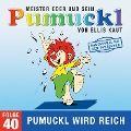 Cover-Bild zum Titel '40: Pumuckl wird reich (Das Original aus dem Fernsehen)' von 'Ellis Kaut'