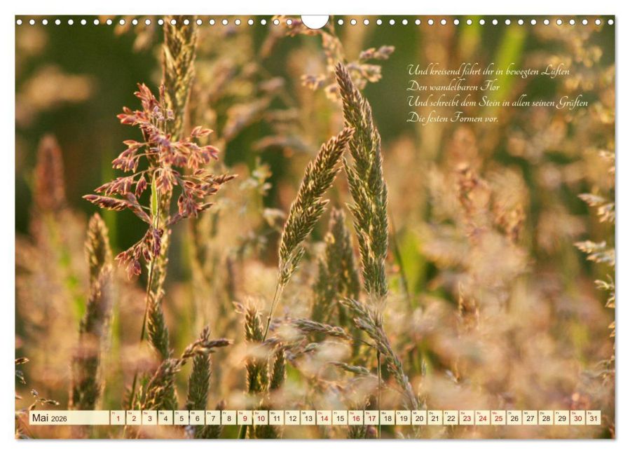 InsideView 10