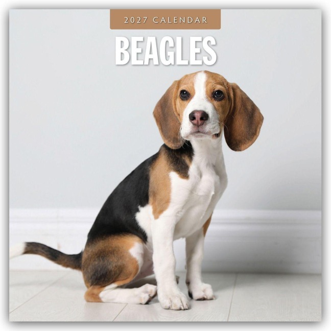 Beagles - Beagle 2027 - 16-Monatskalender - Robin Red