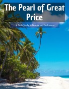 Cover-Bild zum Titel 'The Pearl Of Great Price' von 'John Nolan'