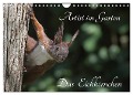 Artist im Garten. Das Eichhörnchen (Wandkalender 2024 DIN A4 quer), CALVENDO Monatskalender - Klaus Konieczka