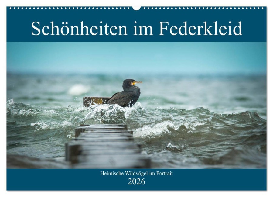 Schönheiten im Federkleid - Heimische Wildvögel im Portrait (Wandkalender 2026 DIN A2 quer), CALVENDO Monatskalender - Sabine Grahneis