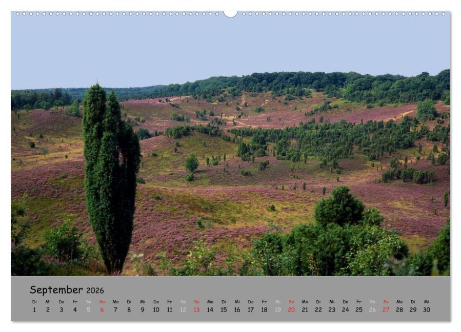 InsideView 14