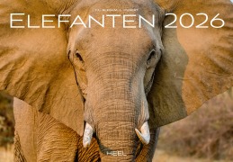Elefanten Kalender 2026 - J. -L. Klein, M. -L. Hubert