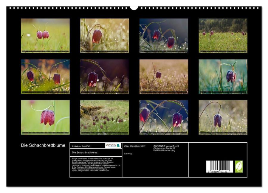 InsideView 4