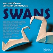 Cover-Bild zum Titel 'Swans' von 'Mats Lidström, Leif Kaner-Lidström'