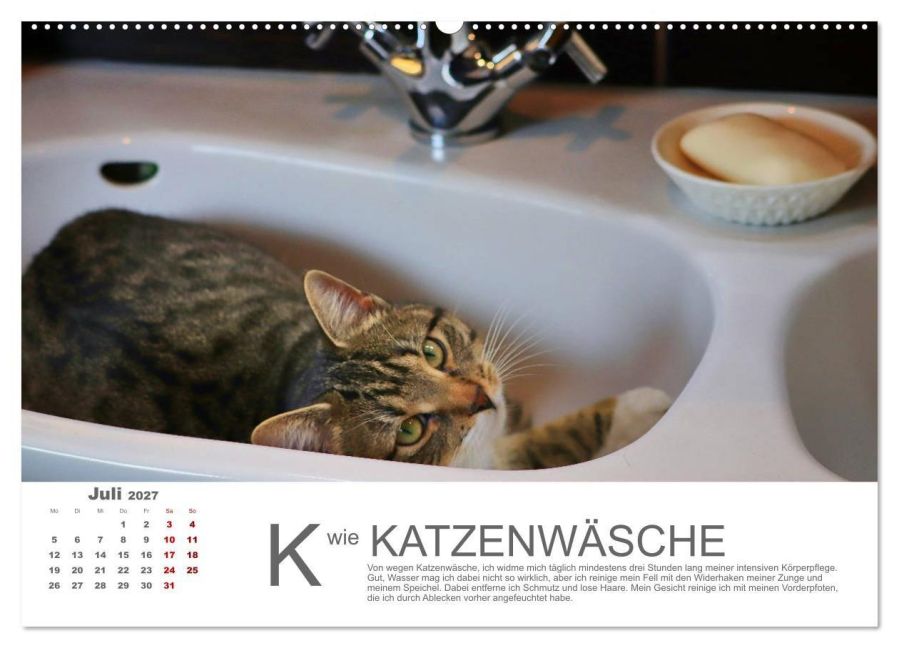 InsideView 11