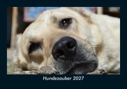 Cover-Bild zum Titel 'Hundezauber 2027 Fotokalender DIN A5' von 'Tobias Schmitt, Kevin Heber'