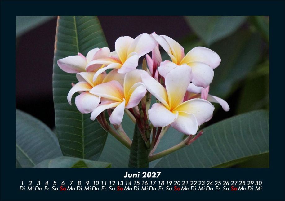InsideView 10
