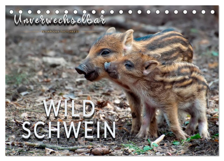 Unverwechselbar - Wildschwein (Tischkalender 2026 DIN A5 quer), CALVENDO Monatskalender - Peter Roder