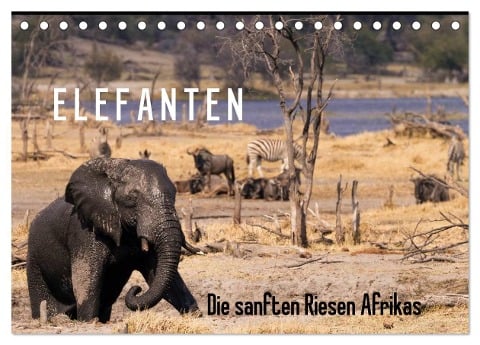 Elefanten - Die sanften Riesen Afrikas (Tischkalender 2025 DIN A5 quer), CALVENDO Monatskalender - Markus Pavlowsky Photography