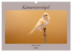 Kanarienvögel - Bunte Welt (Wandkalender 2026 DIN A3 quer), CALVENDO Monatskalender - Akrema-Photography Akrema-Photography