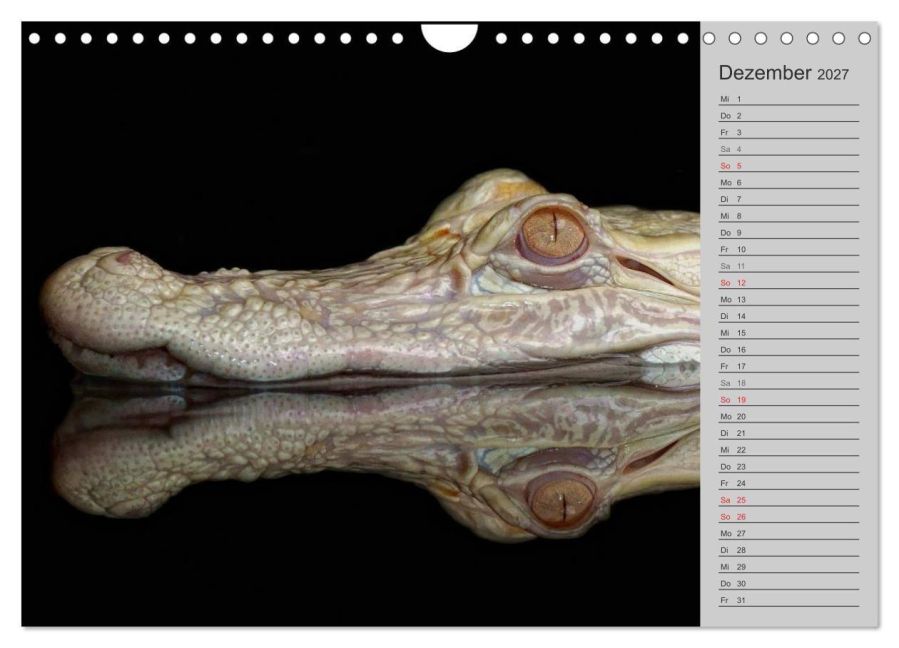 InsideView 4