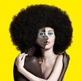 Cover-Bild zum Titel 'Lamomali' von 'Toumani/Diabate M/Diabate'