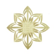 Cover-Bild zum Titel 'Bastelset Webstern, glitter gold, 40 cm FSC MIX' von ''