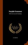 Panjábí Grammar: With Exercises and Vocabulary - E. P. Newton