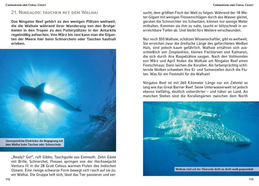 InsideView 8
