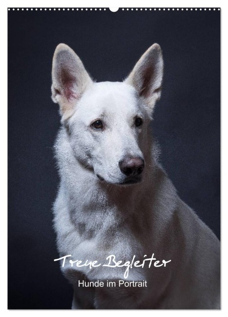 Treue Wegbegleiter, Hunde im Portrait. (Wandkalender 2026 DIN A2 hoch), CALVENDO Monatskalender - Susanne Stark