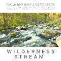 Cover-Bild zum Titel 'Peaceful Water Sounds With Deep Forest Ambiance: Wilderness Stream & Babbling Brook' von 'Laurence Goldman'