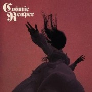 Cover-Bild zum Titel 'Bleed the Wicked,Drown the Damned' von 'Cosmic Reaper'